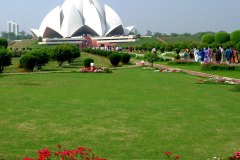 lotus-templew