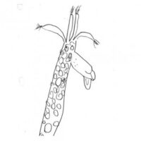 Giraffe-w-300×300 Giraffe-w-300×300